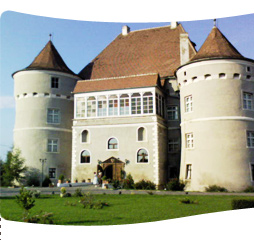Lucrari Larex-Therm Baia Mare - Restaurari Cladiri Istorice