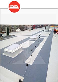 PardoseliHidroizolatii PVC-TPO-EPDM 
  	                    Luminatoare - Trape de fum